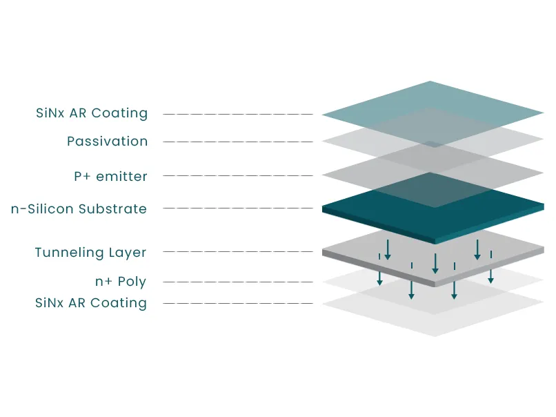 TOPCon Solar Technology